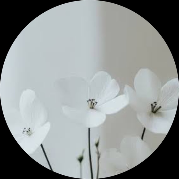 erint092